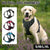 Adjustable No-Pull Dog Harness Vest S-XL Reflective Pet Training Outdoor Handle - Red-L