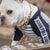 Dog Chain Collar Heavy Duty Choker Double Pet Slip Check Twist Link Chrome Chain Silver - 35CM
