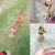 120Cm Pet Dog Puppy Padded Handle Metal Chain Dog Leash - Black