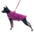 XS Pet Dog Puppy Winter Warm Fleece Jumper Vest Coat Jacket Apparel Clothes - Green