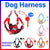 Dog Harness Cat Lead Puppy Leash Vest Mesh Breathe Adjustable Braces Small Pet Pink - M