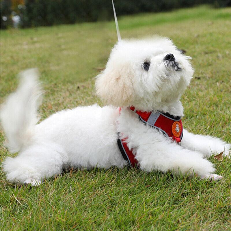 Dog Harness Cat Lead Puppy Leash Vest Mesh Breathe Adjustable Braces Small Pet Pink - S