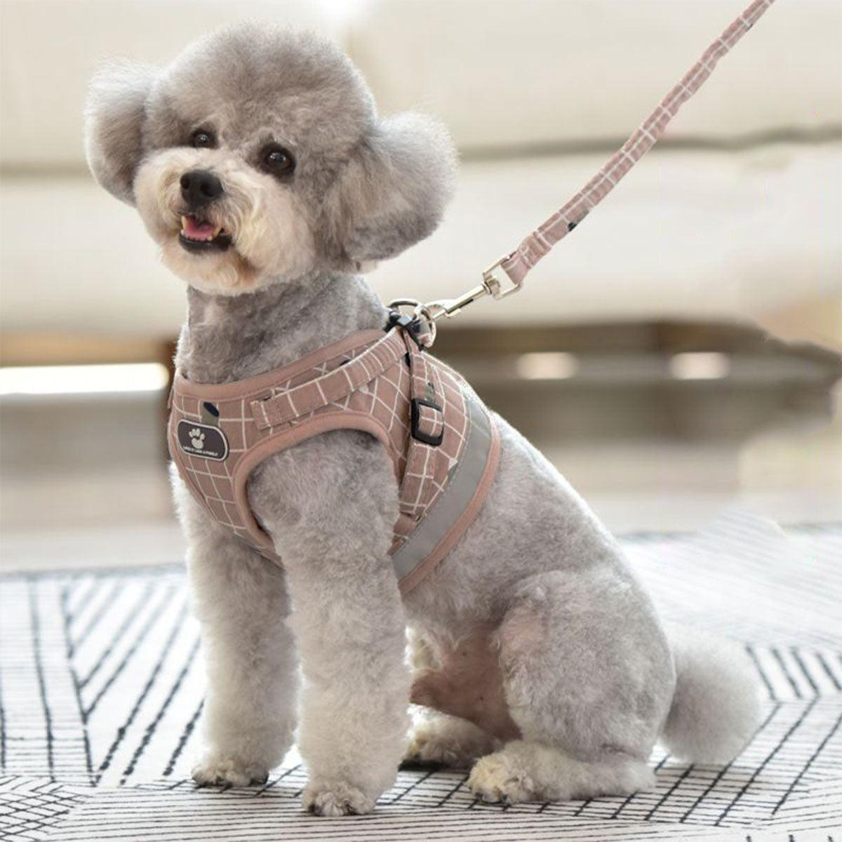 Pink Kitten Dog Cat Walking Harness Lead Leash Collar Pet Vest Mesh Adjustable - M