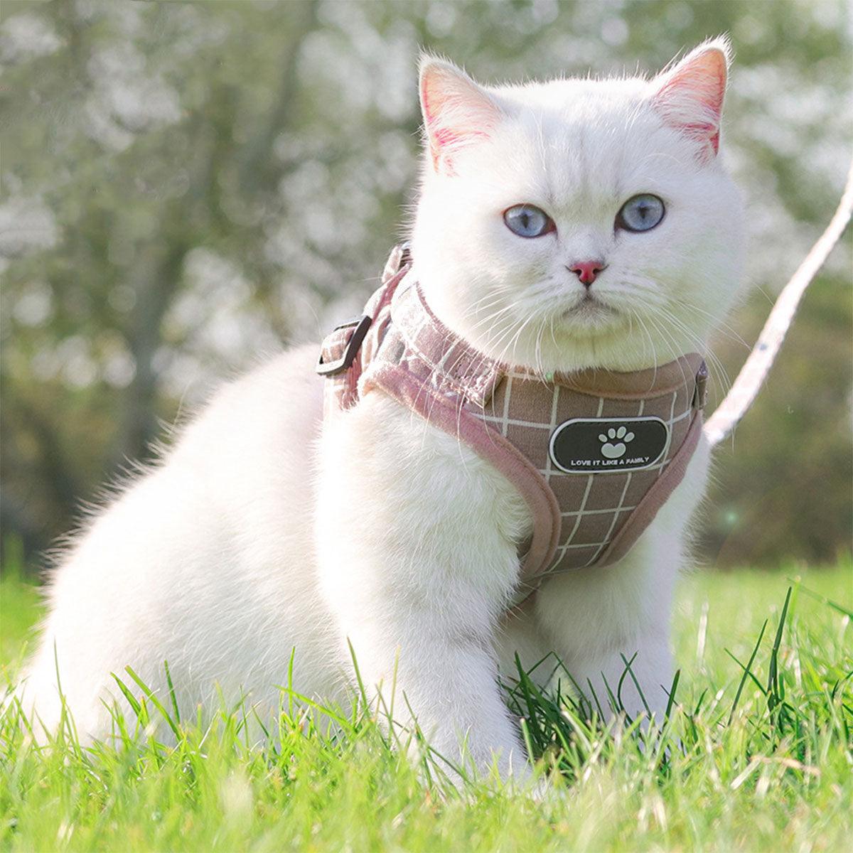 Pink Kitten Dog Cat Walking Harness Lead Leash Collar Pet Vest Mesh Adjustable - S