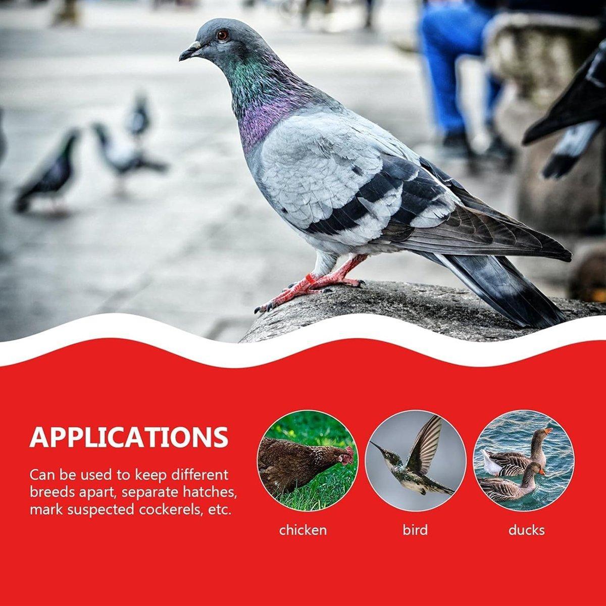 100X 001-100 Digital Numbered Bird Leg Band Rings Clip For Pigeon Parrot Poultry - Green