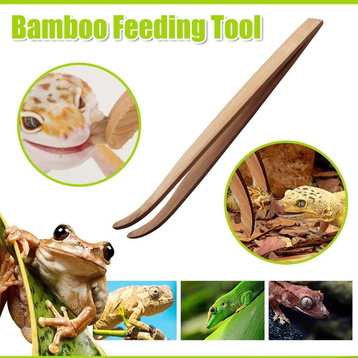 1-Piece 16.5 cm Curved Reptile Feeding Tweezers