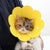 Pet Dog Cat Adjustable Soft Healing Elizabethan Collar Cone Medical Protective - Yellow
