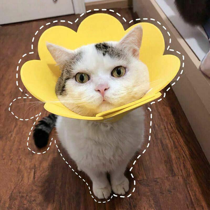 Pet Dog Cat Adjustable Soft Healing Elizabethan Collar Cone Medical Protective - Yellow