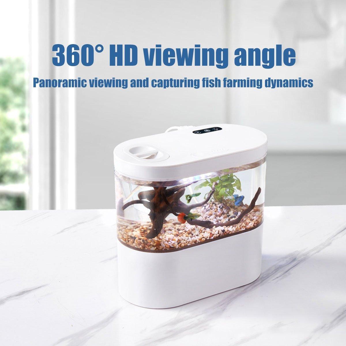 Mini Self-Circulating Desktop Fish Tank Eco-Friendly Creative Aquarium for Home - Pink