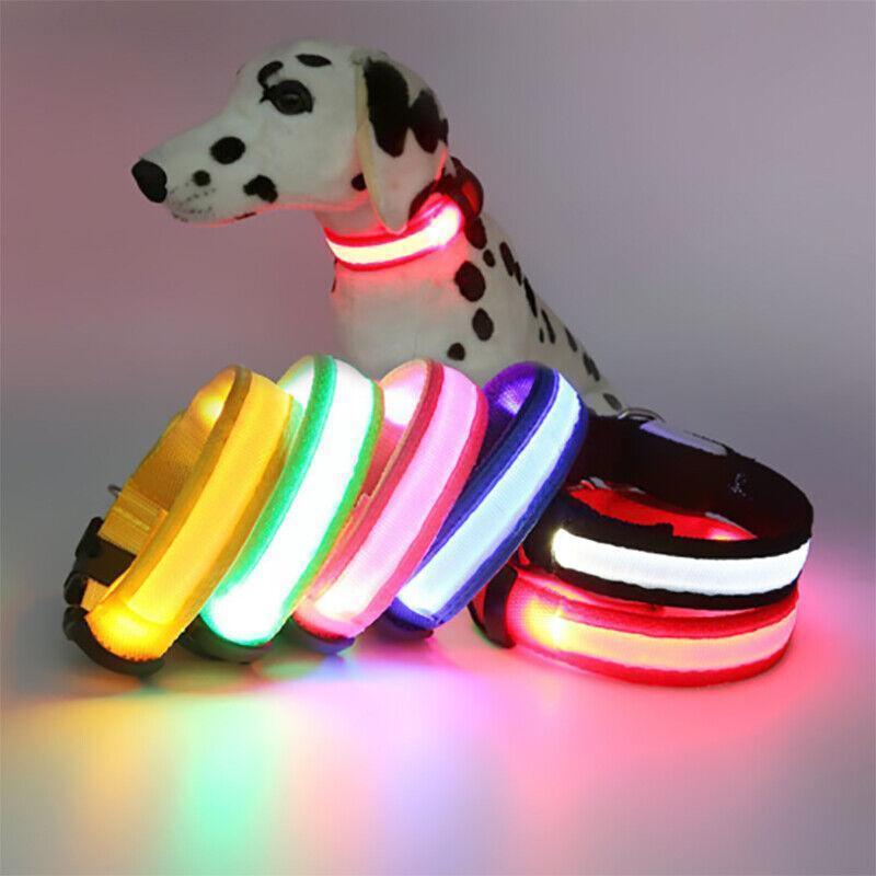 XL Size USB Rechargeable LED Dog Collar Nylon Glow Flashing Light Up Gear - Black