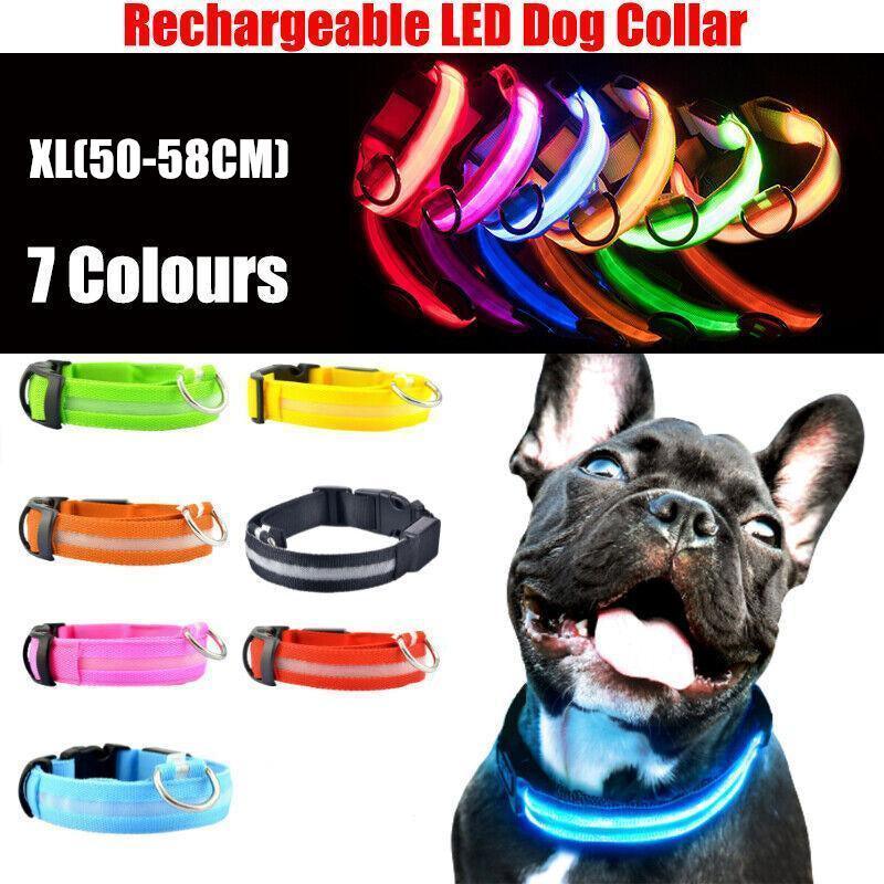 XL Size USB Rechargeable LED Dog Collar Nylon Glow Flashing Light Up Gear - Blue