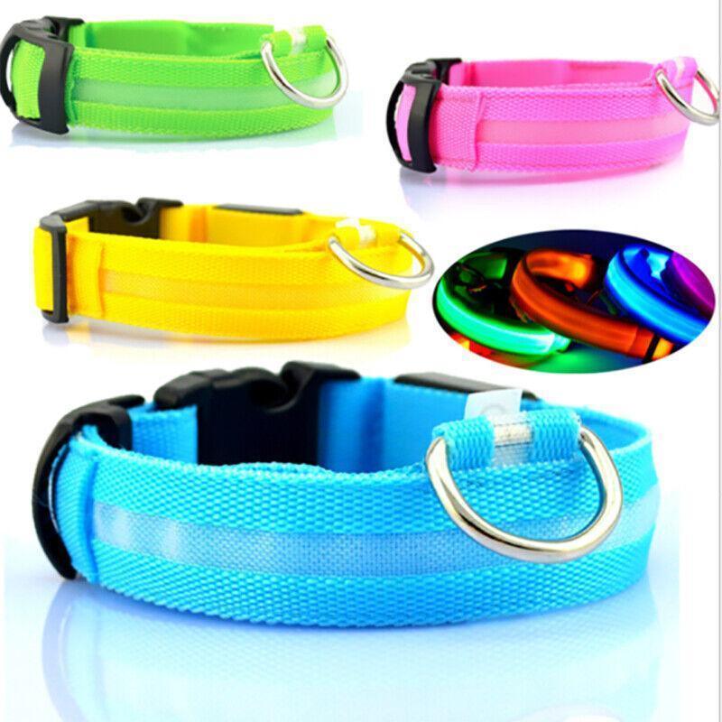 XL Size USB Rechargeable LED Dog Collar Nylon Glow Flashing Light Up Gear - Yellow