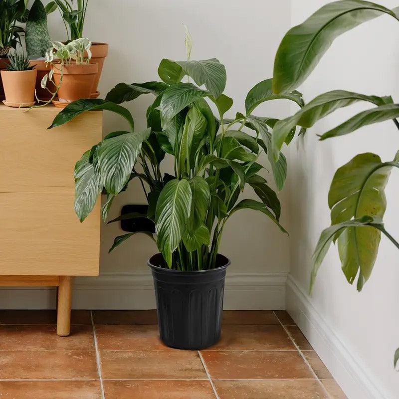 100PCS Black Gallon Soft Plastic Planter Bag Garden Nursery Pot Balcony Grow Bag