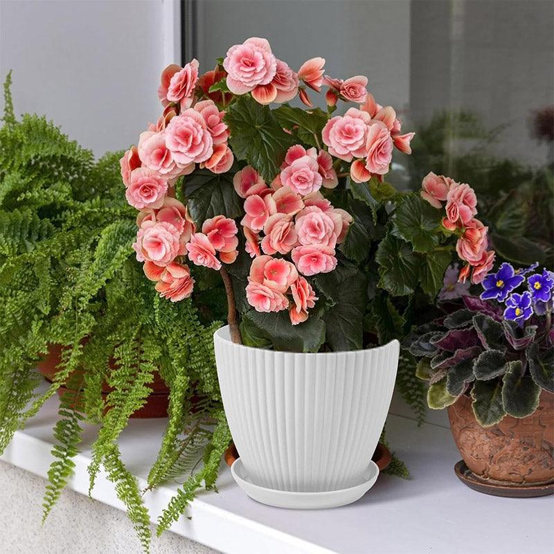 6PCS Simple Plastic Round Plant Pots Vertical Stripes Flower Pot Green Gardening - White