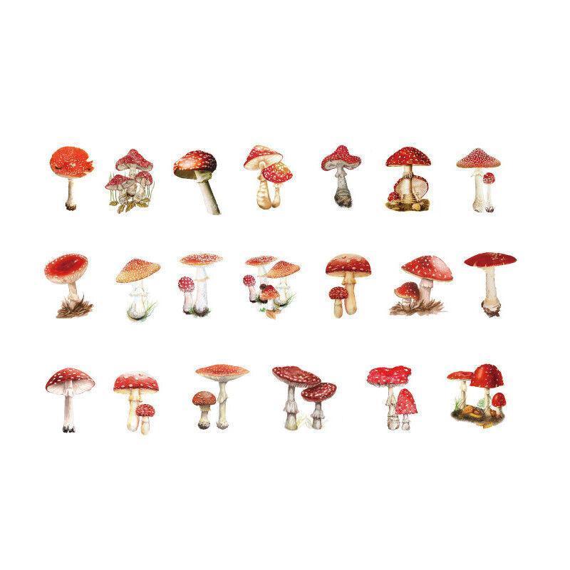 Scrapbooking Flower Stickers Pet Transparent Sticker - B