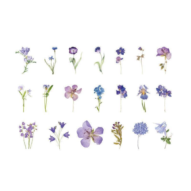 Scrapbooking Flower Stickers Pet Transparent Sticker - E