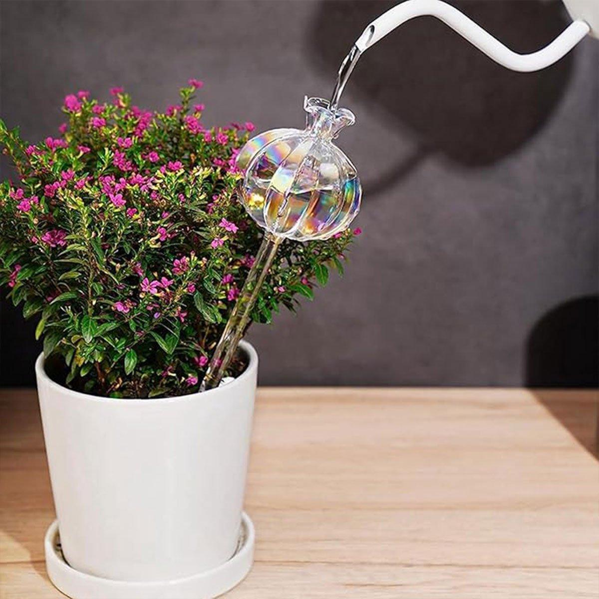 2PCS Automatic Glass Watering Cactus Plant Flower Self Drip Irrigation Tool - Transparent