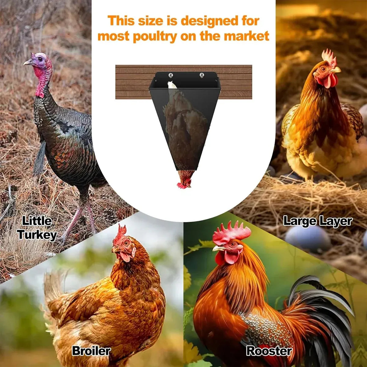 Metal Poultry Restraint Cone Flat Back Funnel Cone for Chicken Duck Goose