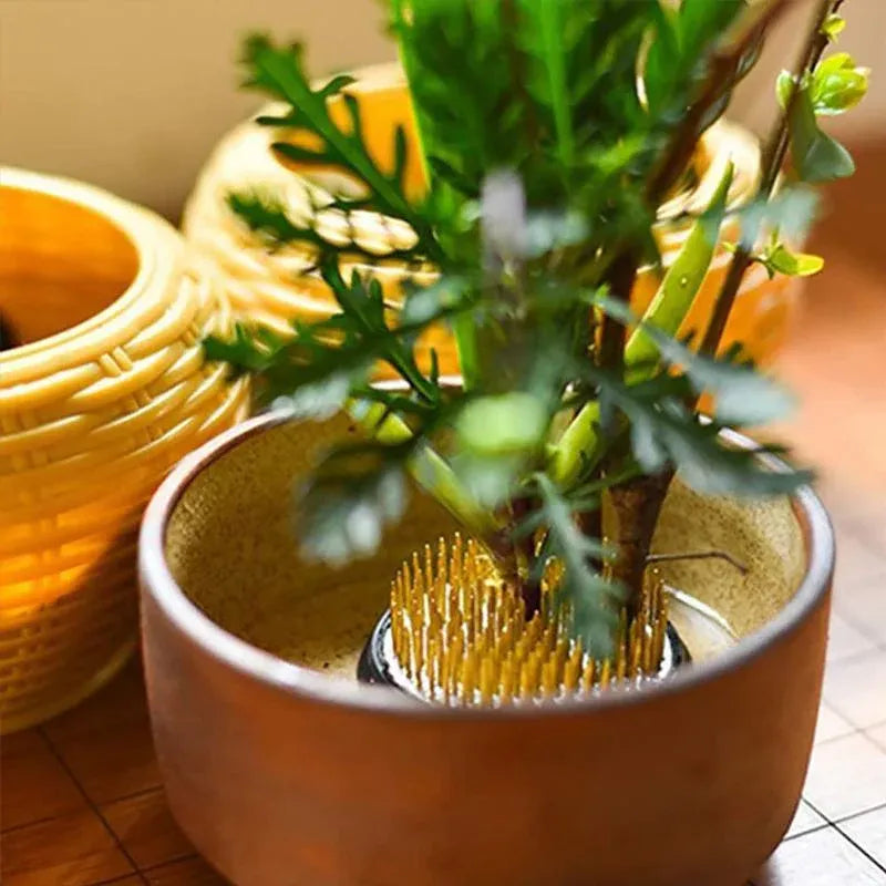 Round Flower Base Holder Spiky Frog Fixed Tool Floral Arrange For Ikebana Kenzan