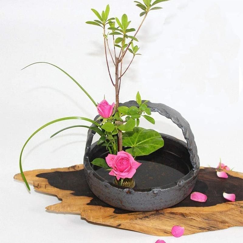 Round Flower Base Holder Spiky Frog Fixed Tool Floral Arrange For Ikebana Kenzan
