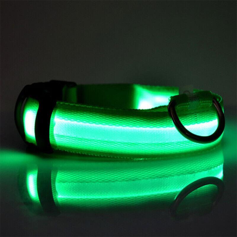 L Size USB Rechargeable LED Dog Collar Nylon Glow Flashing Light Up Neck Strap - Green