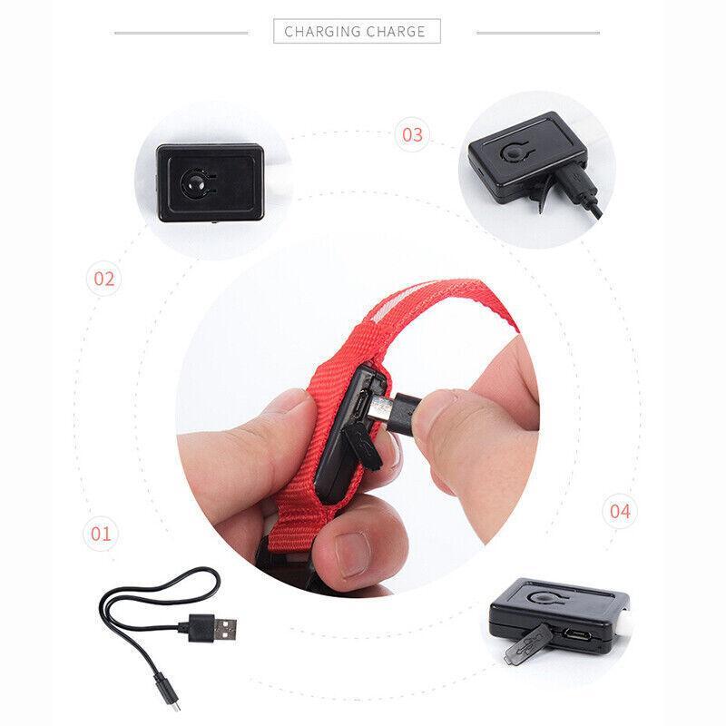 L Size USB Rechargeable LED Dog Collar Nylon Glow Flashing Light Up Neck Strap - Red