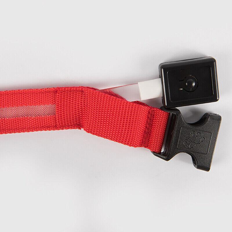 M Size USB Rechargeable LED Dog Collar Nylon Glow Flashing Light Up Pet Collar - Red