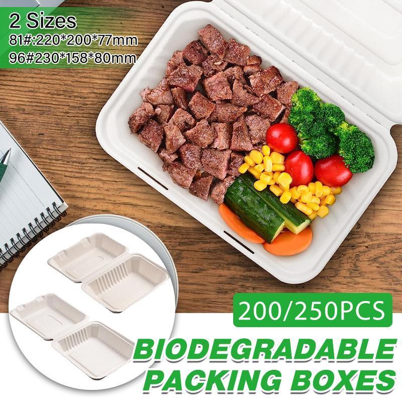 200/250PCS Biodegradable Compostable Ecofriendly Disposable Clamshell Food Box - 81#-200pcs