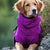 Dog Puppy Hoodies Jacket Solid Coat Pet Winter Soft Warm Clothes S-5XL Black - 2XL