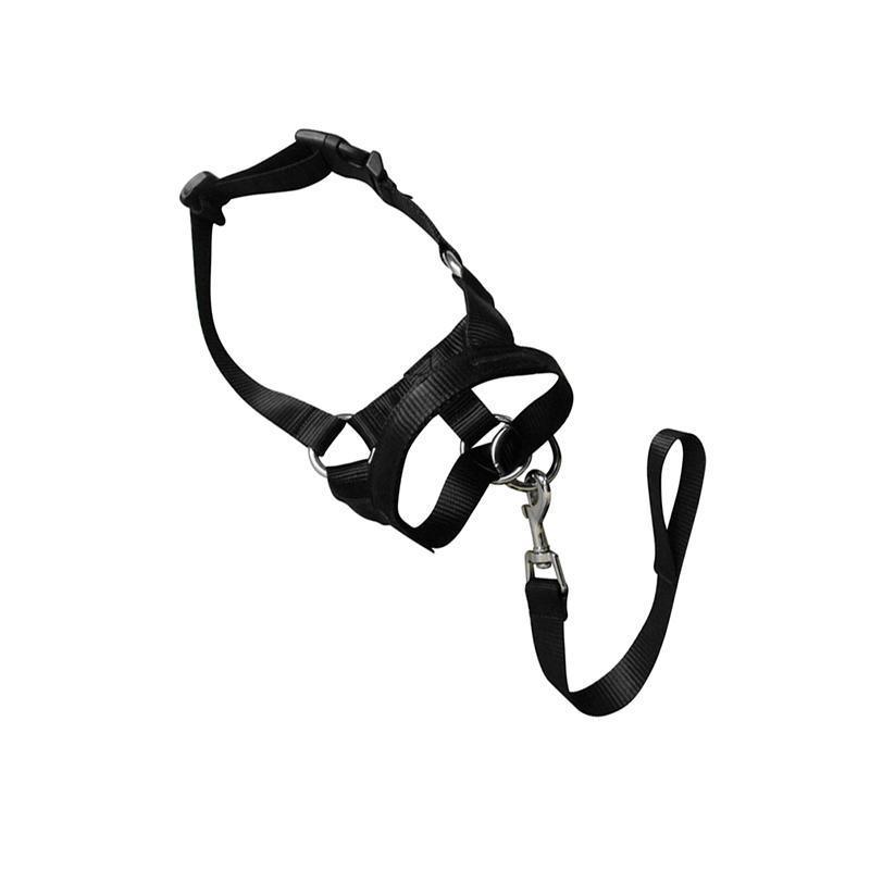 Black Dog Training Head Collar Halter Stop Pulling Training Tool Harness Strap Leader - S