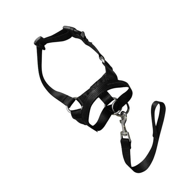 Black Dog Training Head Collar Halter Stop Pulling Training Tool Harness Strap Leader - S