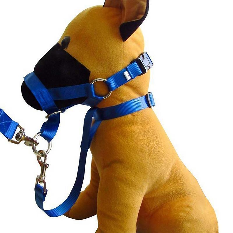 Black Dog Training Head Collar Halter Stop Pulling Training Tool Harness Strap Leader - L