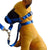 Black Dog Training Head Collar Halter Stop Pulling Training Tool Harness Strap Leader - L