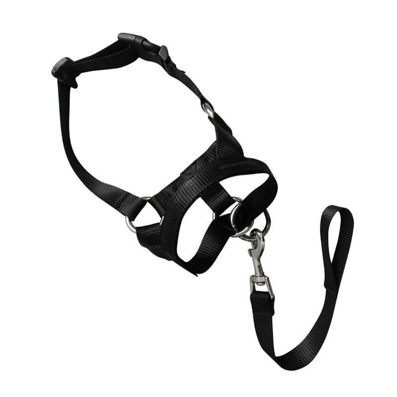Black Dog Training Head Collar Halter Stop Pulling Training Tool Harness Strap Leader - L