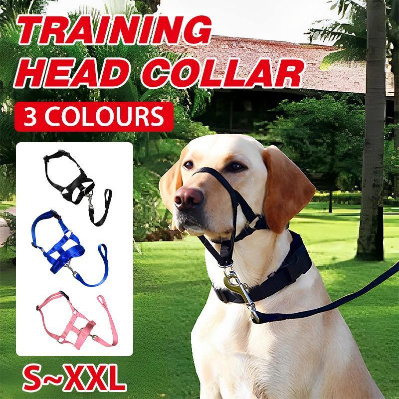 Black Dog Training Head Collar Halter Stop Pulling Training Tool Harness Strap Leader - XXL