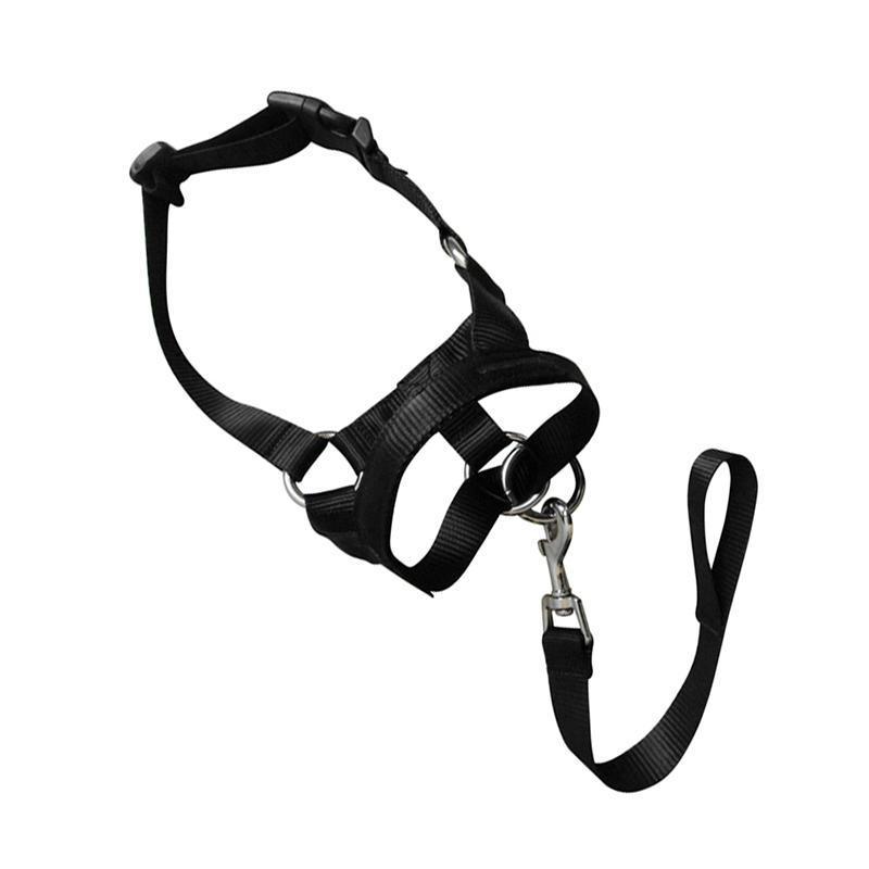 Black Dog Training Head Collar Halter Stop Pulling Training Tool Harness Strap Leader - XXL