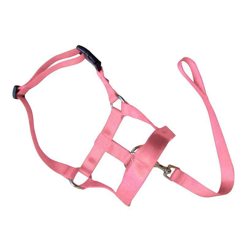 Pink Dog Training Head Collar Halter Stop Pulling Training Tool Harness Strap Leader - M