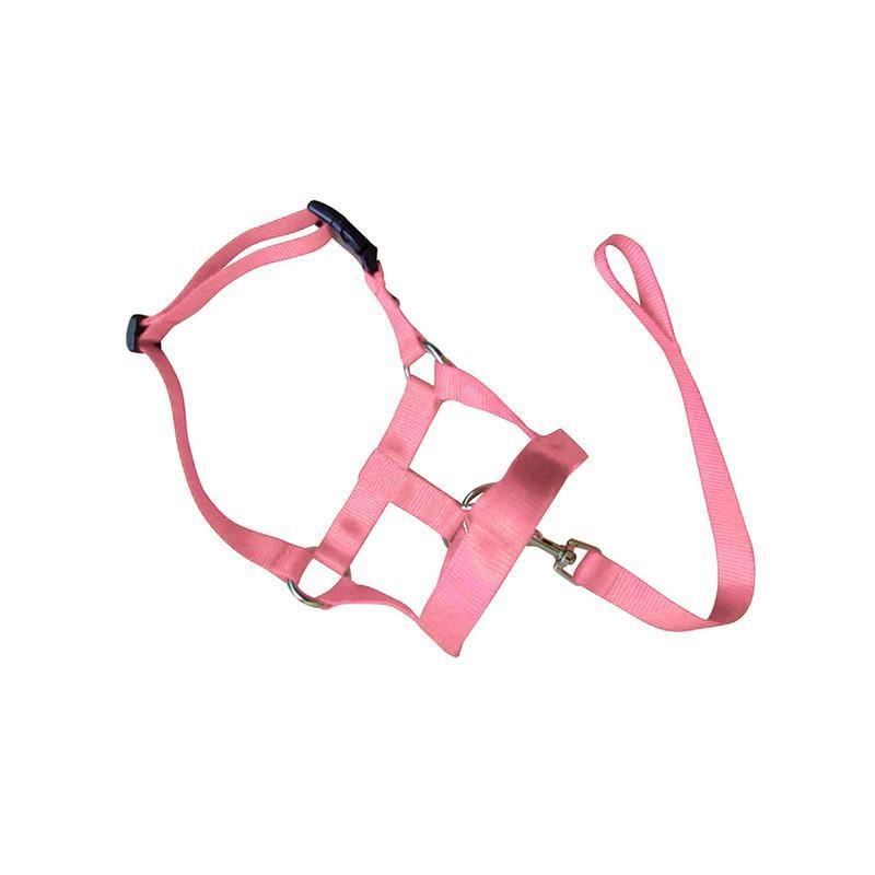Pink Dog Training Head Collar Halter Stop Pulling Training Tool Harness Strap Leader - XL