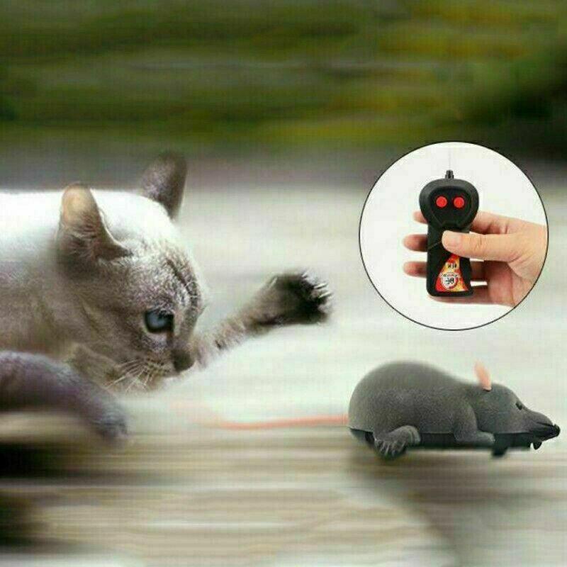 Pet Cat Puppy Toy Wireless Remote Control Electronic Rat Mouse Mice Toys Stock - Grey