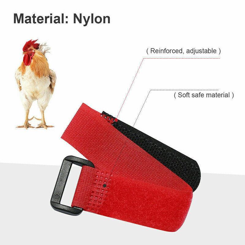 10pcs Rooster Anti Crow Collar Adjustable Nylon Neck Belt Poultry Sound Control - Black
