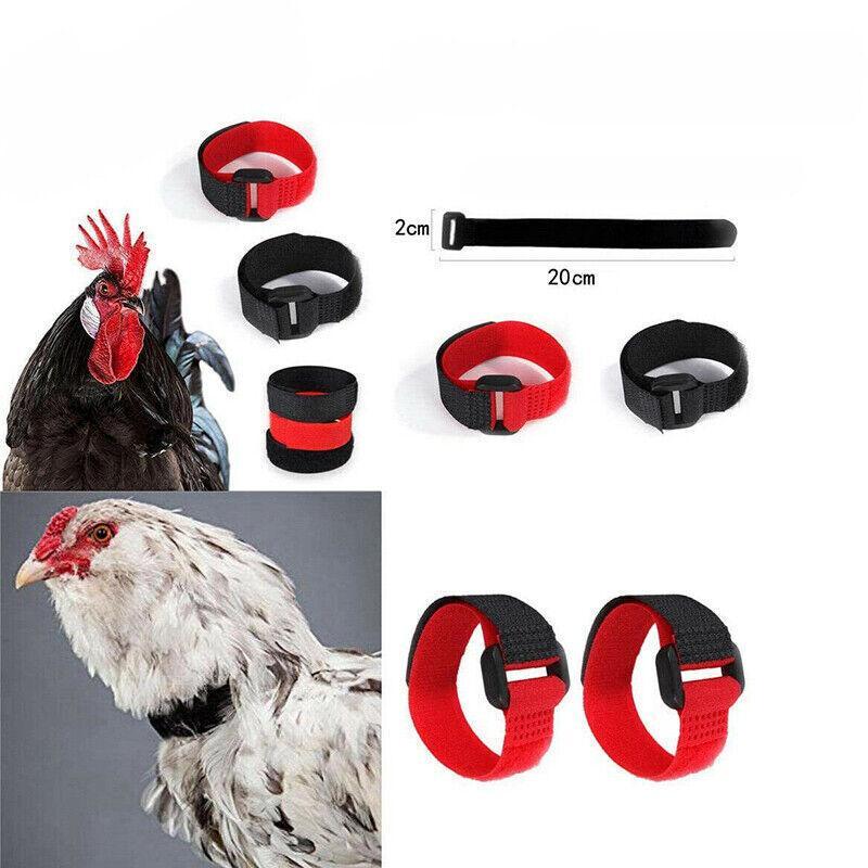 10pcs Rooster Anti Crow Collar Adjustable Nylon Neck Belt Poultry Sound Control - Black