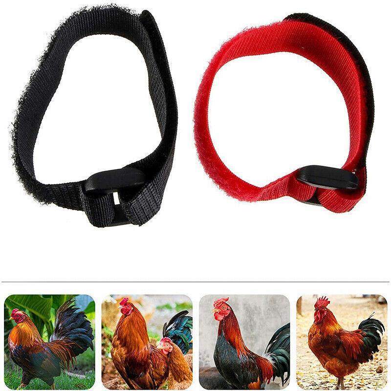 10pcs Rooster Anti Crow Collar Adjustable Nylon Neck Belt Poultry Sound Control - Red