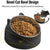 Pet Dog Cat Food Bowl Raised No Slip Stainless Steel Tilted Water Food Feeder - Green