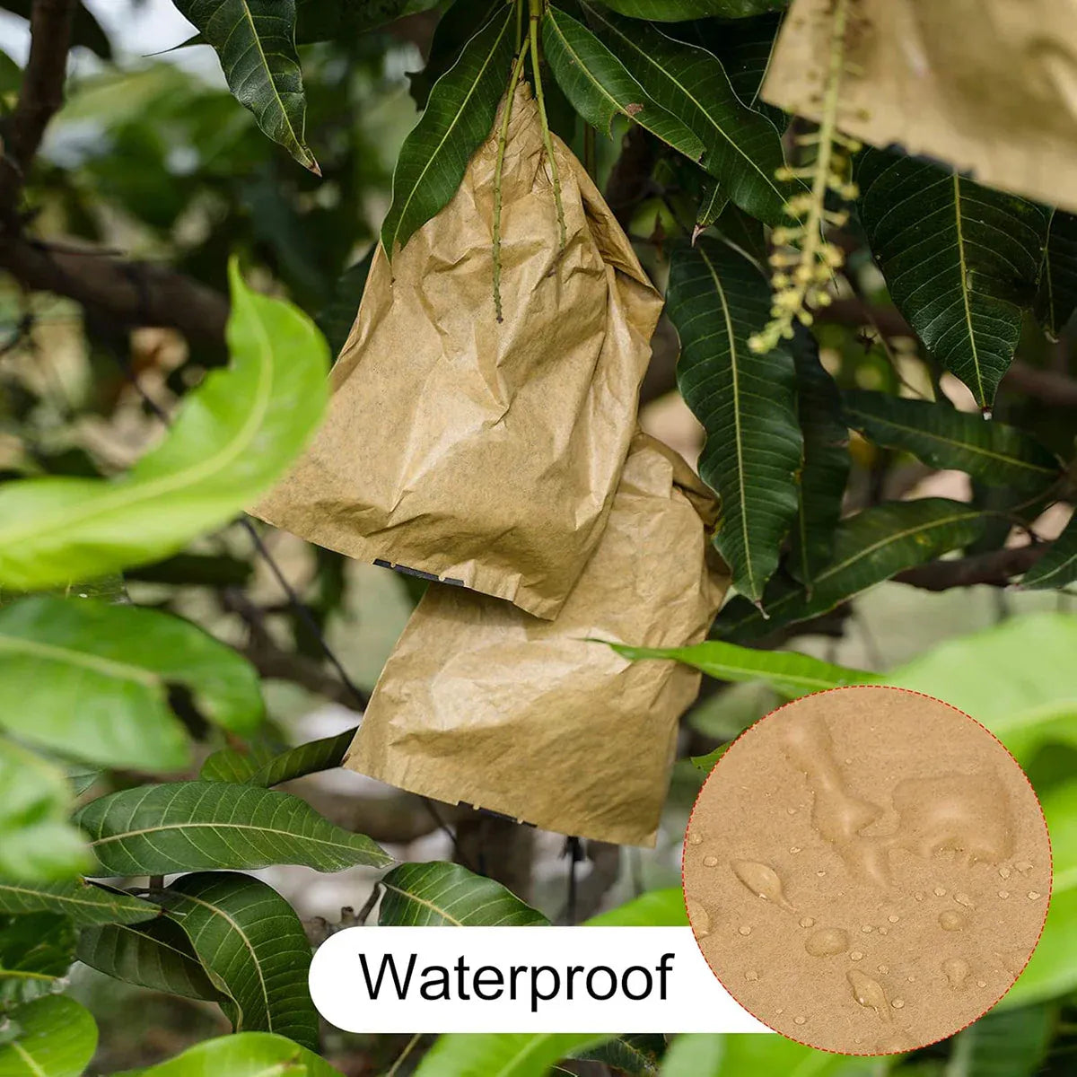 Paper Fruit Bags 100pcs Protective Bagging for Orchard Garden Harvest Storage