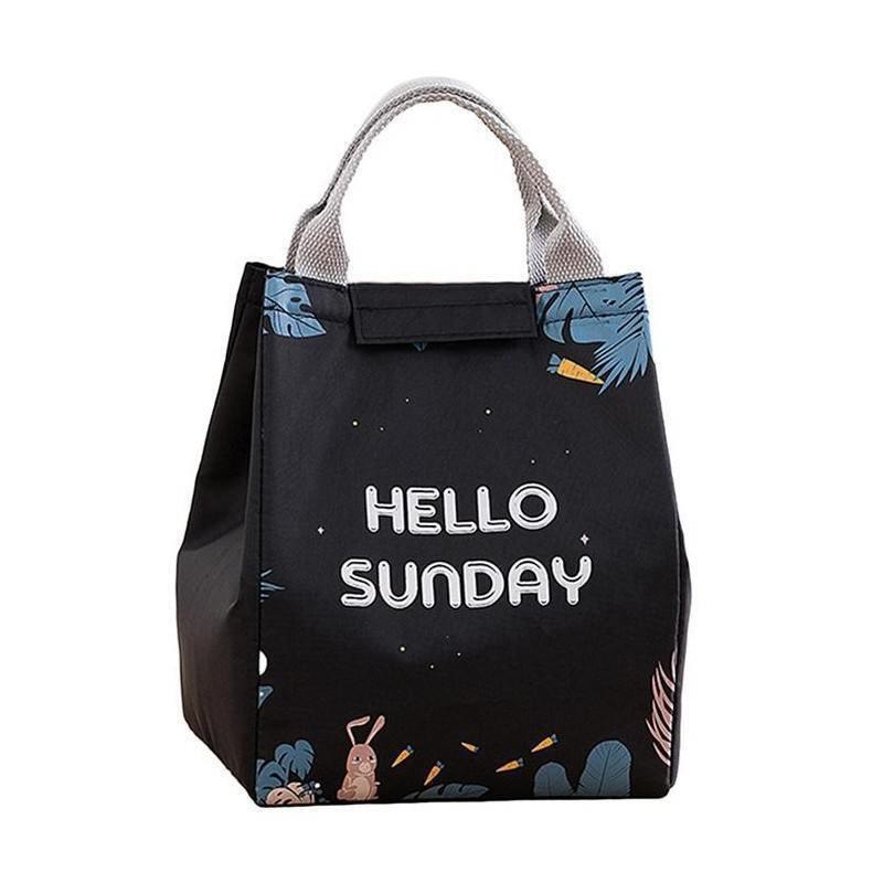Portable Insulated Thermal Lunch Box Carry Tote Picnic Case Storage Bag 18x24x15cm - E02 (18x24x15cm)