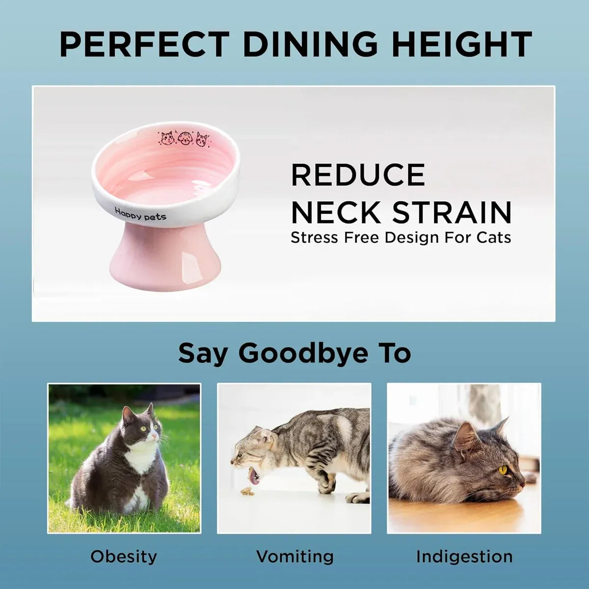 Tall Raised Ceramic Pet Bowl for Cats and Small Dogs in Blue or Pink - Blue