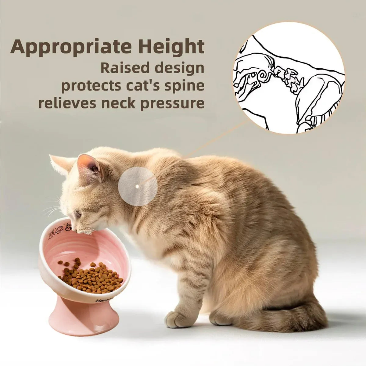 Tall Raised Ceramic Pet Bowl for Cats and Small Dogs in Blue or Pink - Blue