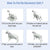 Striped Dog Clothes Belly Protector Vest Tummy Wrap Shirt for Small Dogs Puppies - Grey-XXL