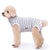 Striped Dog Clothes Belly Protector Vest Tummy Wrap Shirt for Small Dogs Puppies - Grey-XXL