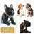 Cuban Chain Metal Dog Collar Pet Training Necklace for Small Medium Large Dogs - Gold-45cm